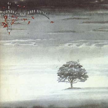 Cover des Mediums Wind & Wuthering