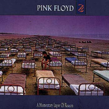 Cover des Mediums A Momentary Lapse Of Reason