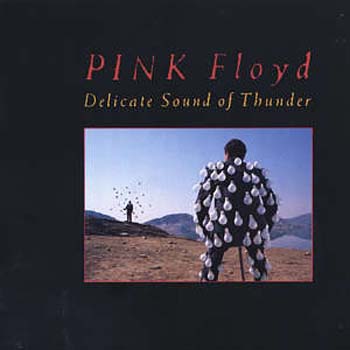 Cover des Mediums Delicate Sound Of Thunder (Disc 1)